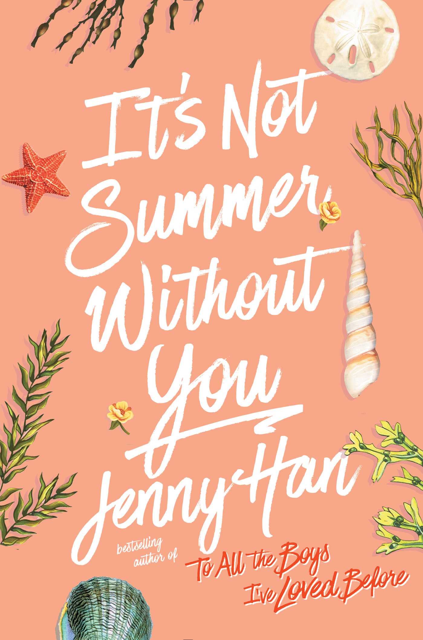 It'S Not Summer Without You (The Summer I Turned Pretty)