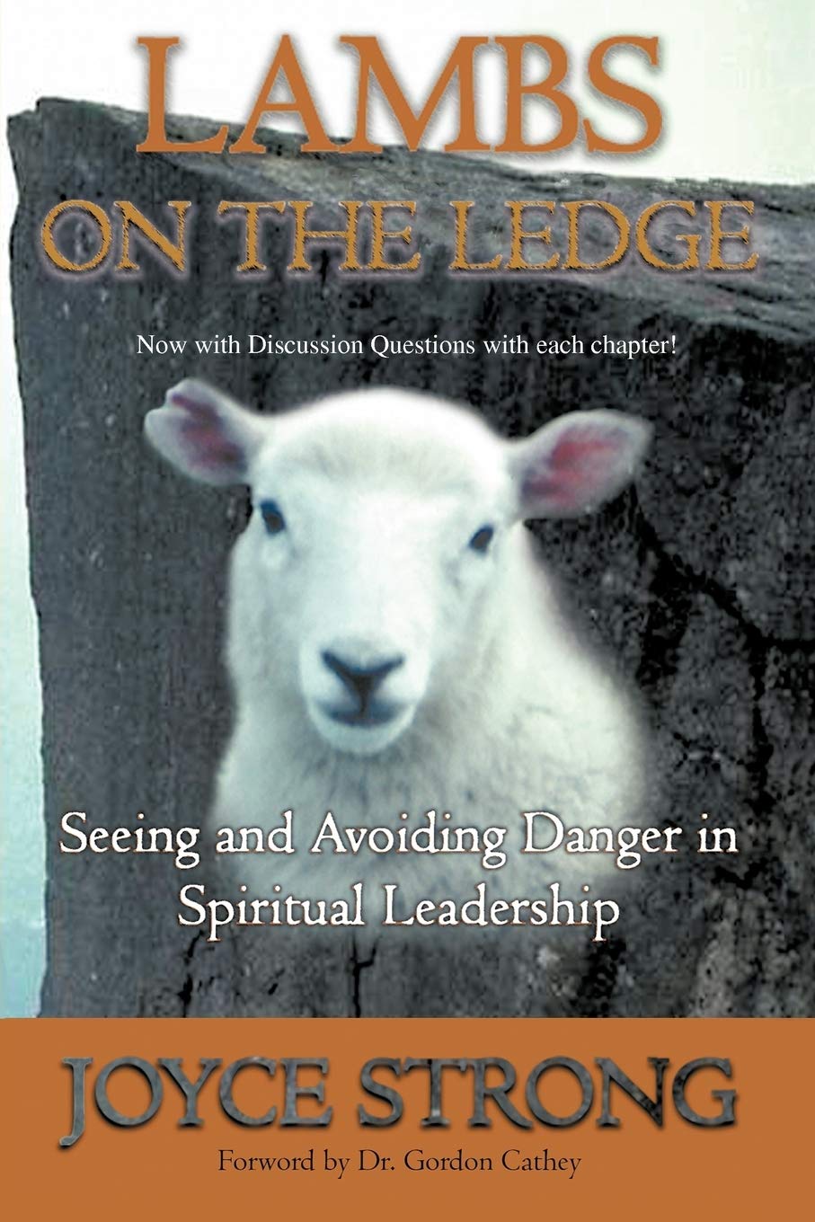 Lambs On The Ledge: Seeing and Avoiding Danger in Spiritual Leadership,Used