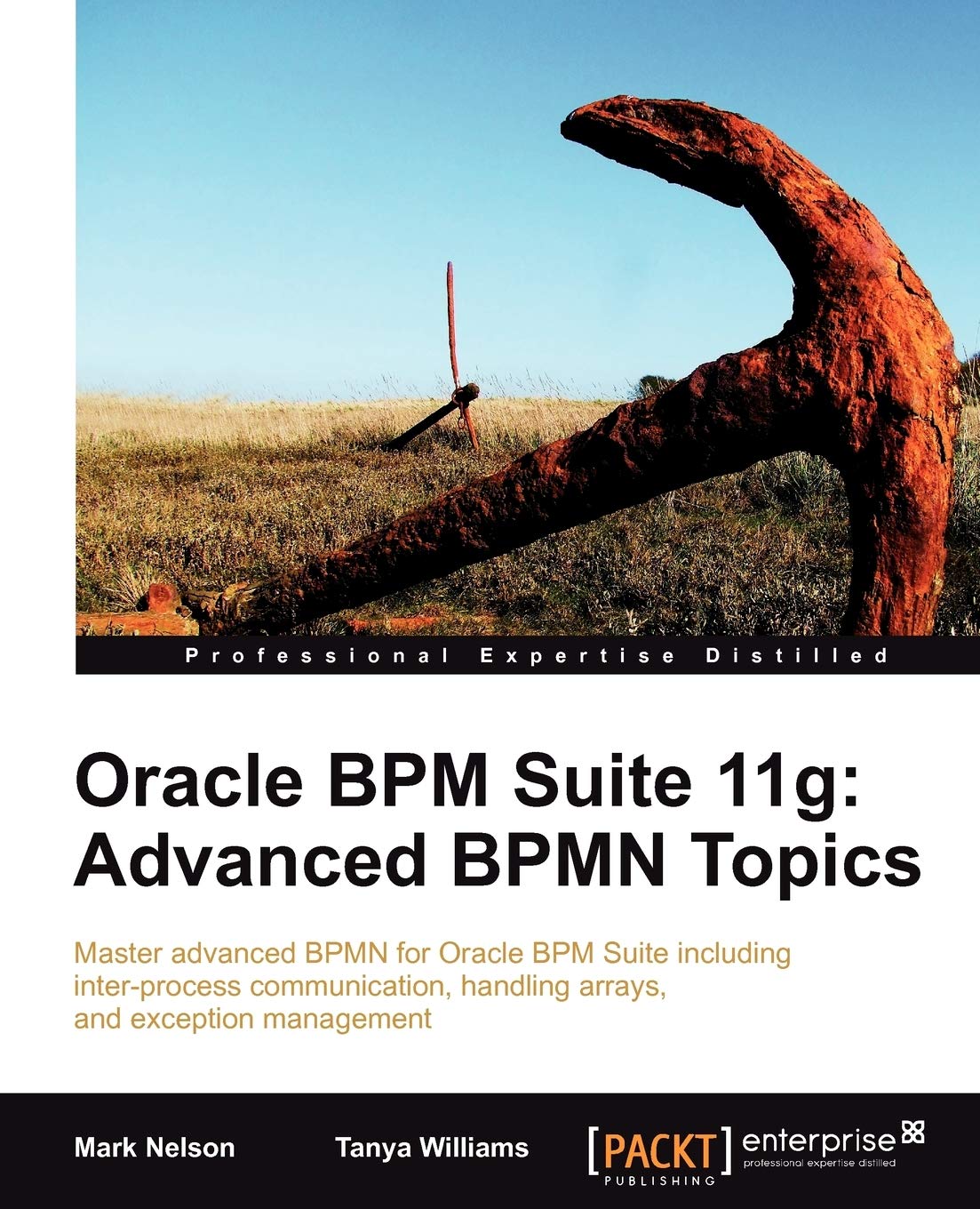 Oracle Bpm Suite 11G: Advanced Bpmn Topics,Used