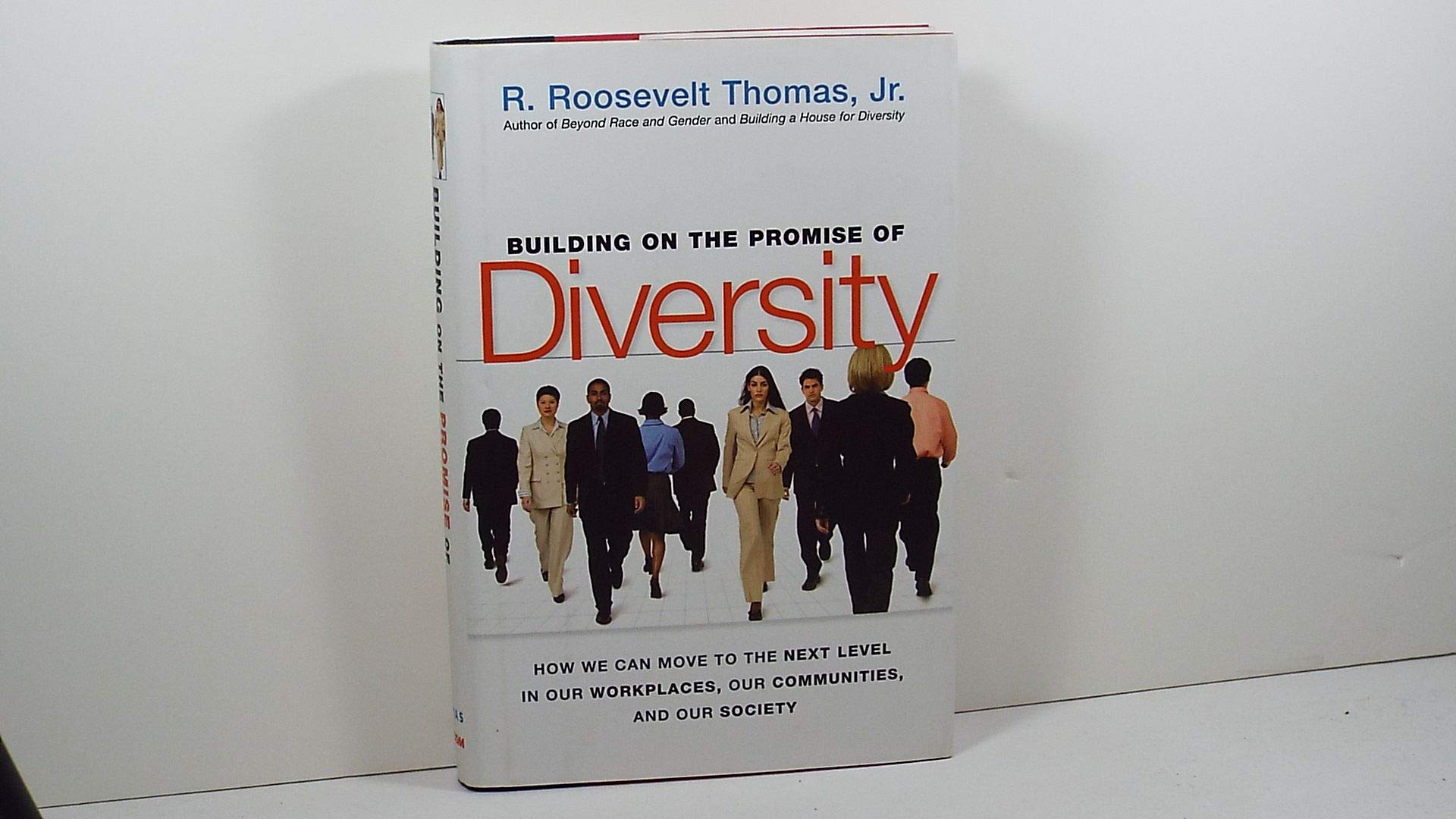 Building On The Promise Of Diversity: How We Can Move To The Next Level In Our Workplaces, Our Communities, And Our Society