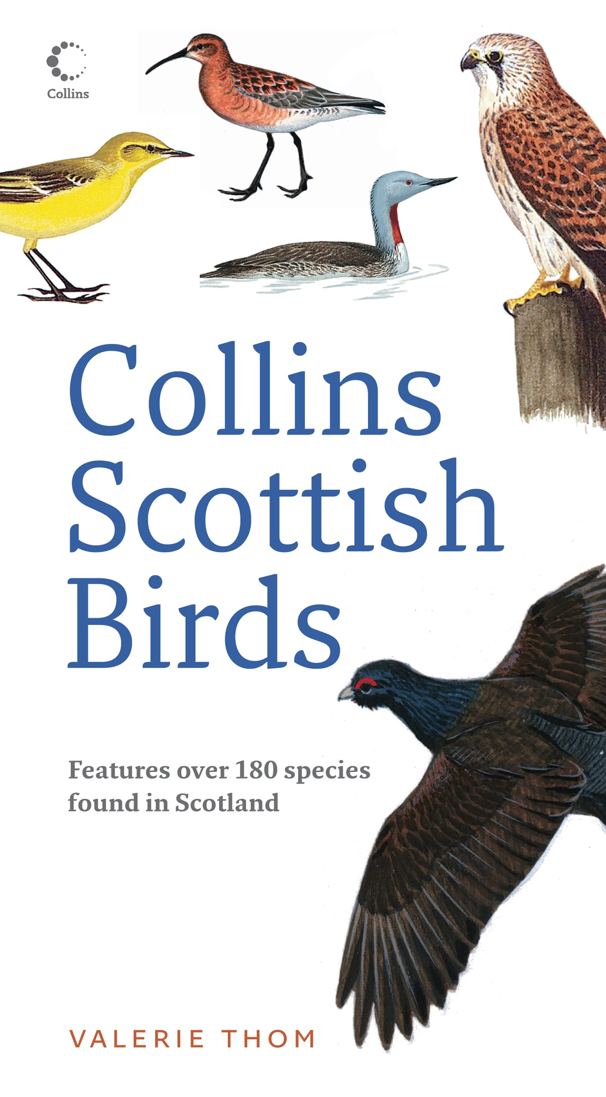 Collins Scottish Birds,Used