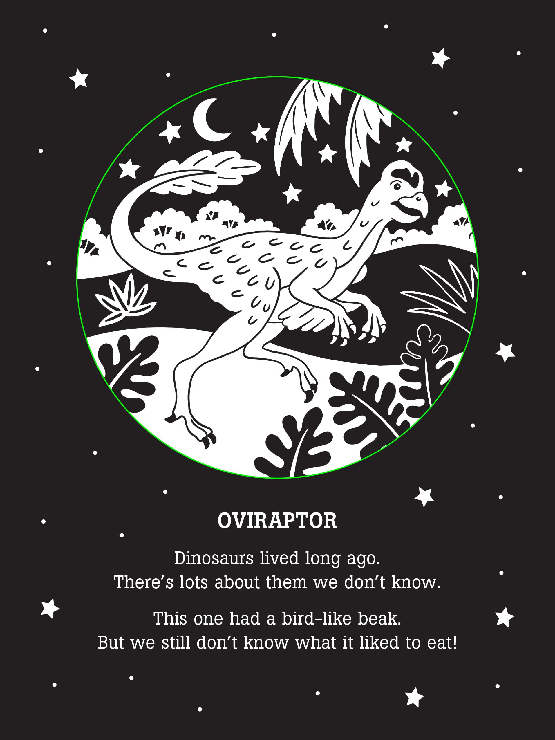 Dinos After Dark Bedtime Shadow Book,Used