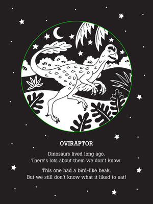 Dinos After Dark Bedtime Shadow Book,Used