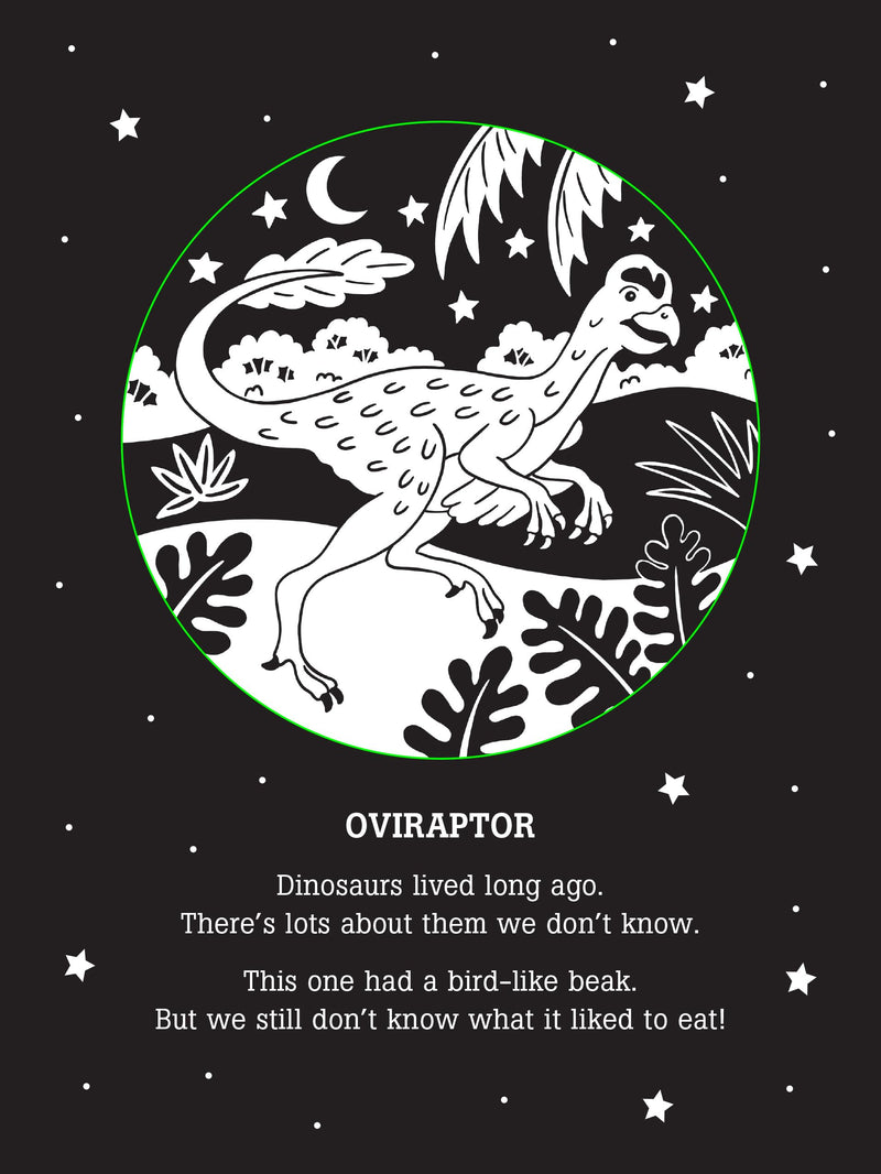 Dinos After Dark Bedtime Shadow Book,Used