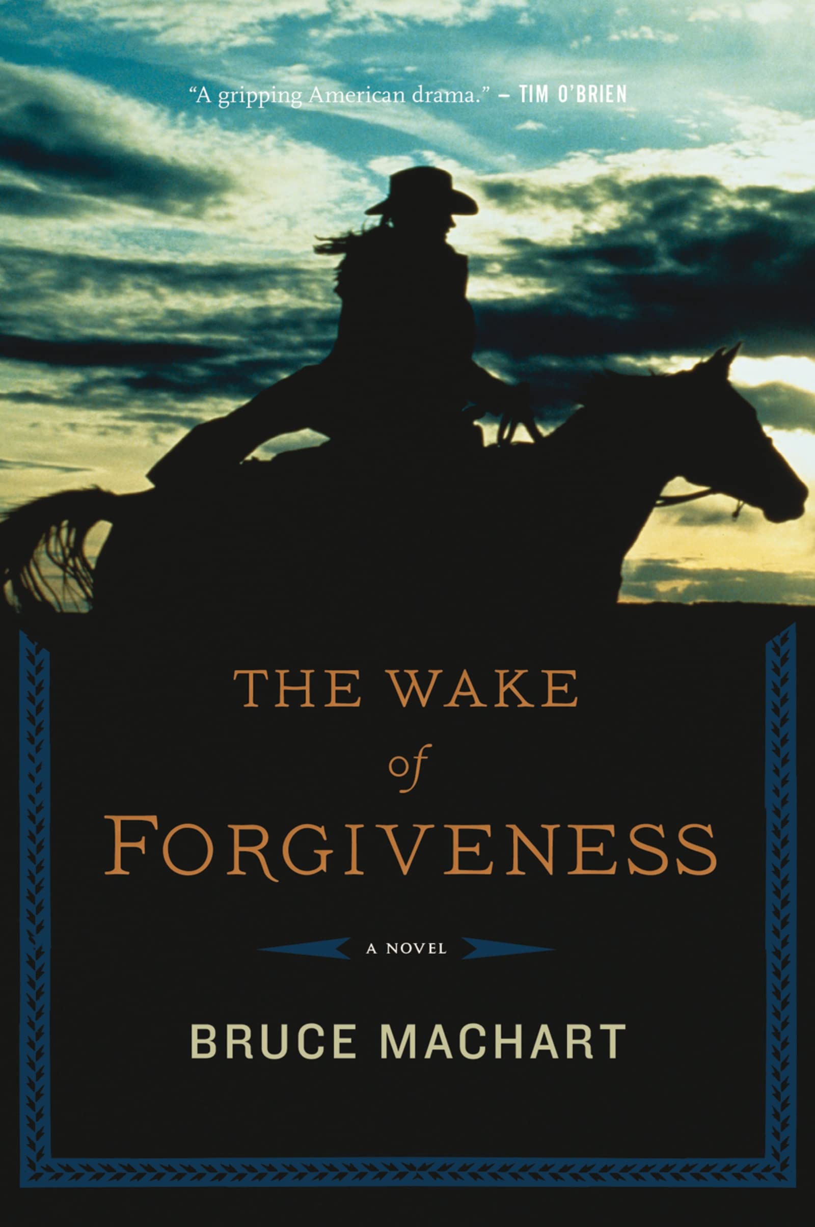 The Wake Of Forgiveness-used