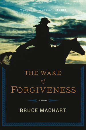 The Wake Of Forgiveness-used