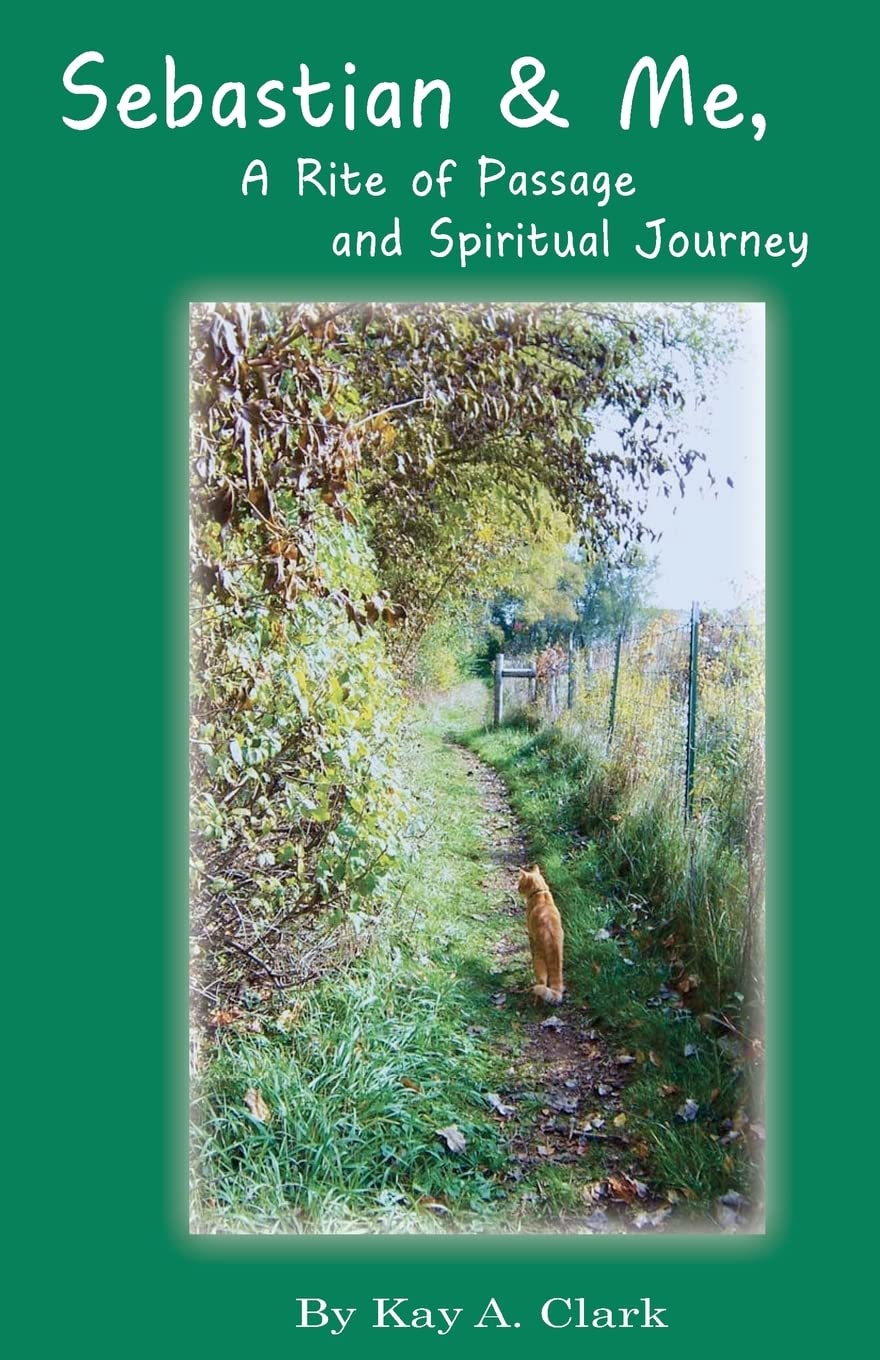 Sebastian & Me A Rite Of Passage And Spiritual Journey,Used