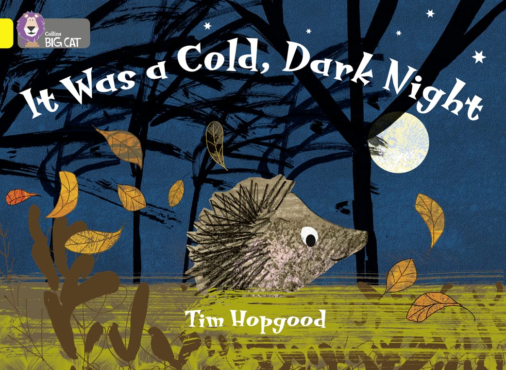 It Was a Cold Dark Night: Band 03/Yellow (Collins Big Cat),Used