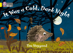 It Was a Cold Dark Night: Band 03/Yellow (Collins Big Cat),Used