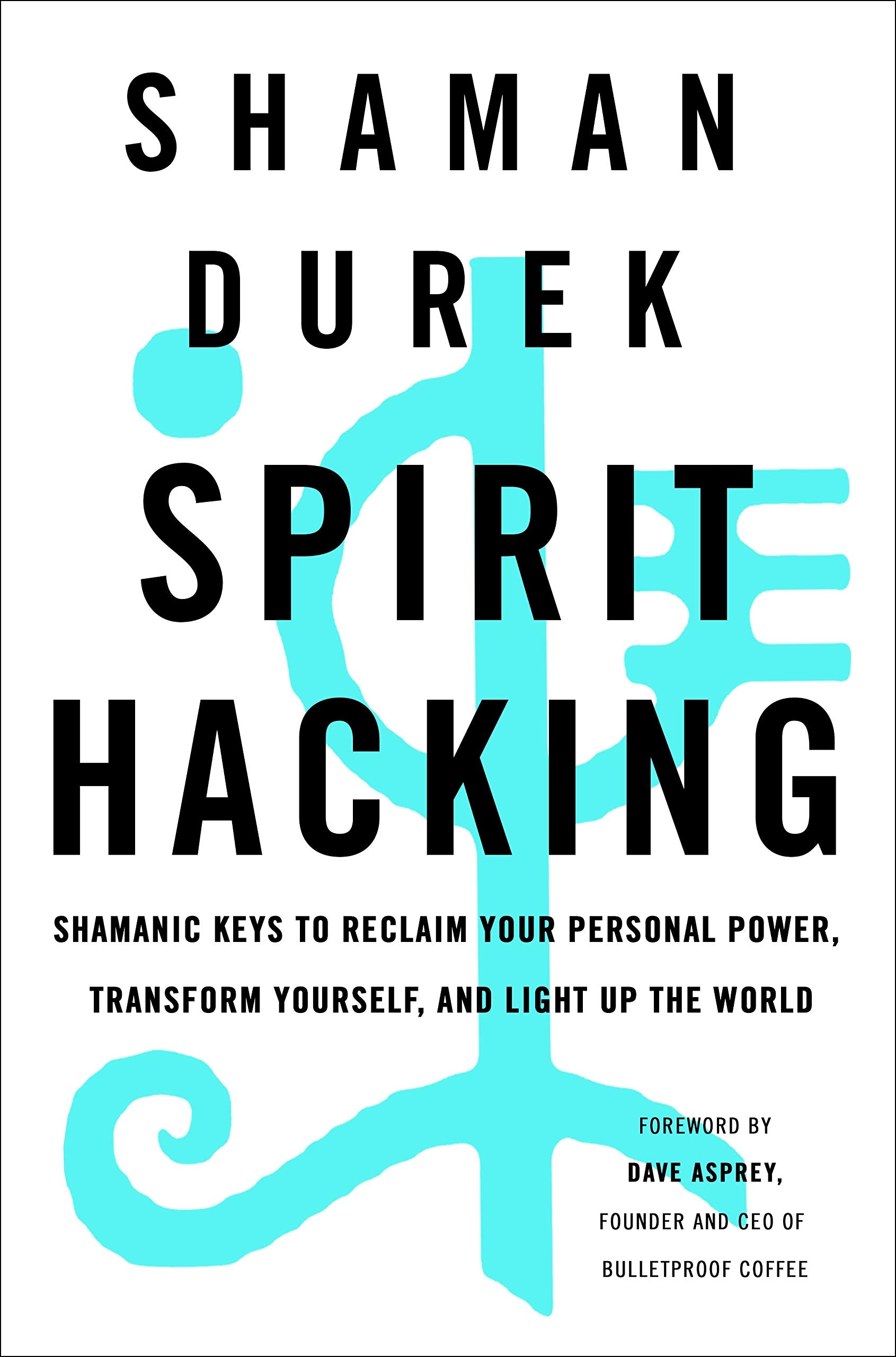 Spirit Hacking: Shamanic Keys To Reclaim Your Personal Power, Transform Yourself, And Light Up The World