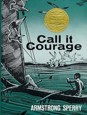Call It Courage,Used