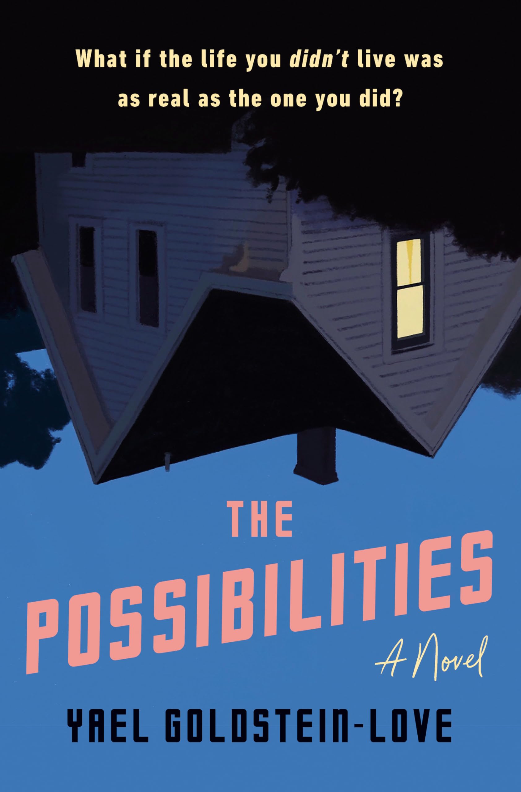 The Possibilities: A Novel,Used