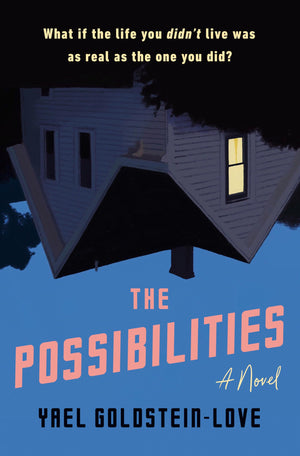 The Possibilities: A Novel,Used