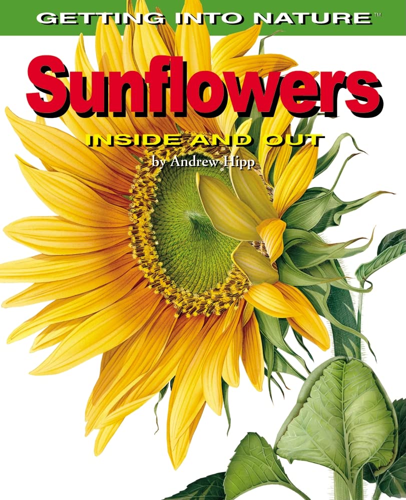 Sunflowers: Inside And Out (Getting Into Nature),New