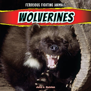 Wolverines (Ferocious Fighting Animals),Used