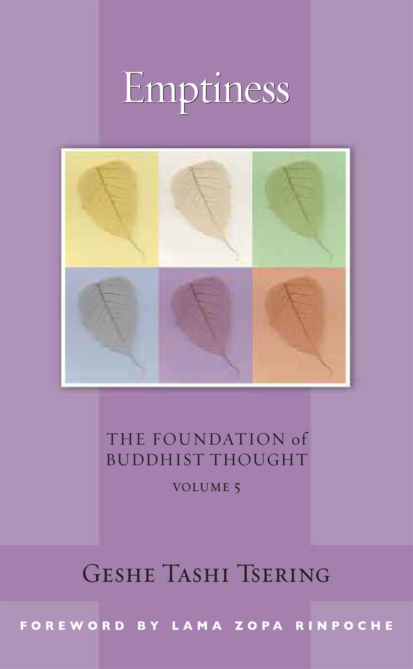 Emptiness: The Foundation of Buddhist Thought, Volume 5 (5),Used