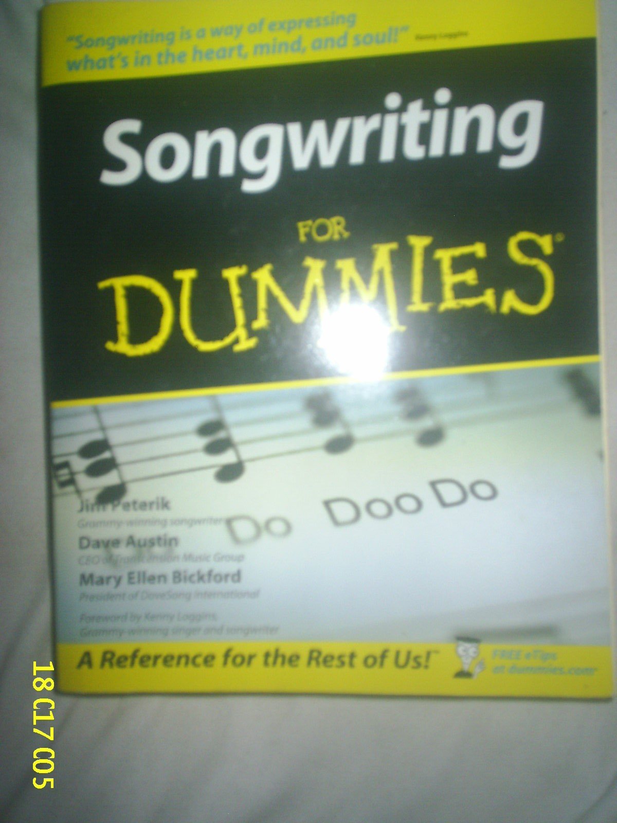 Songwriting for Dummies,Used