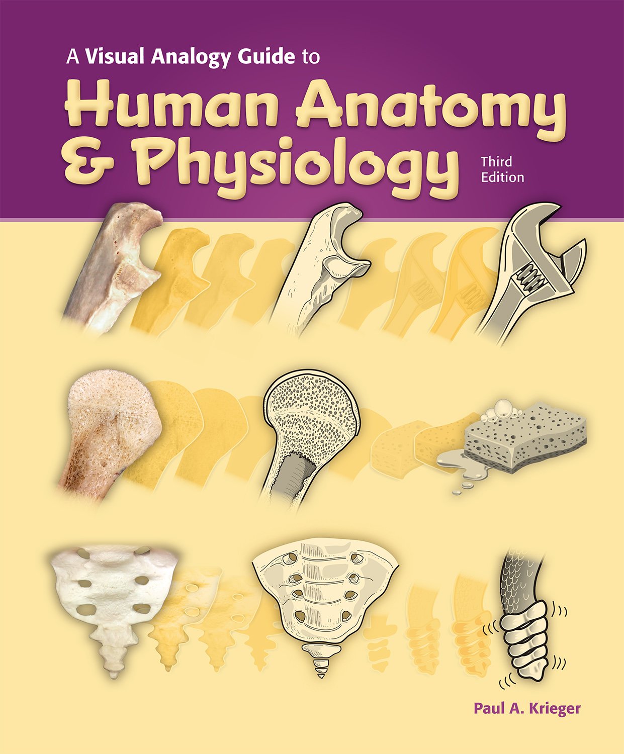 Visual Analogy Guide to Human Anatomy & Physiology,Used