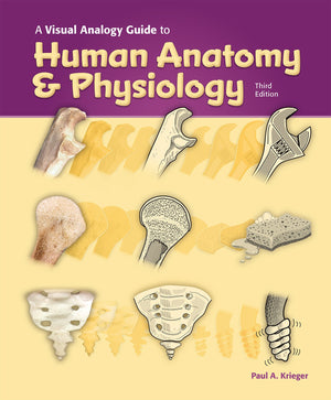 Visual Analogy Guide to Human Anatomy & Physiology,Used