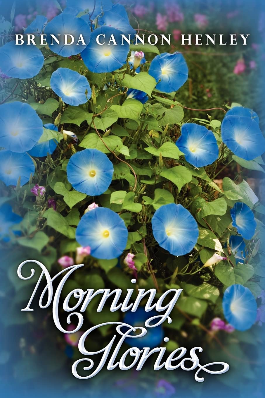 Morning Glories,Used