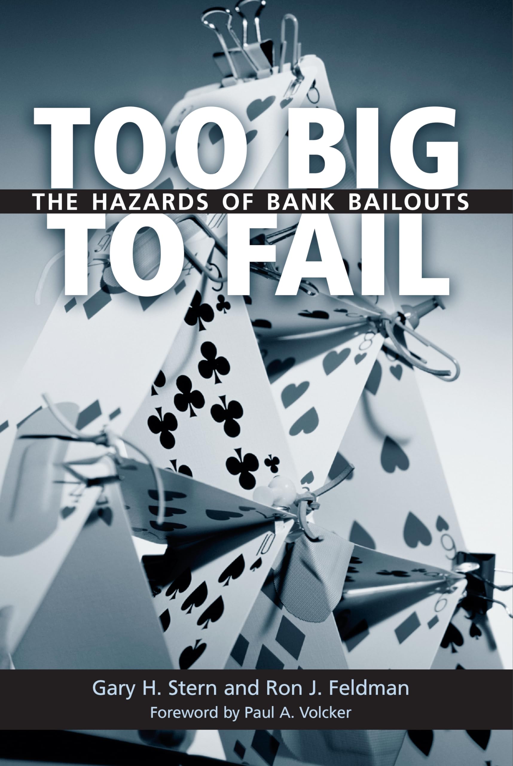 Too Big to Fail: The Hazards of Bank Bailouts,New