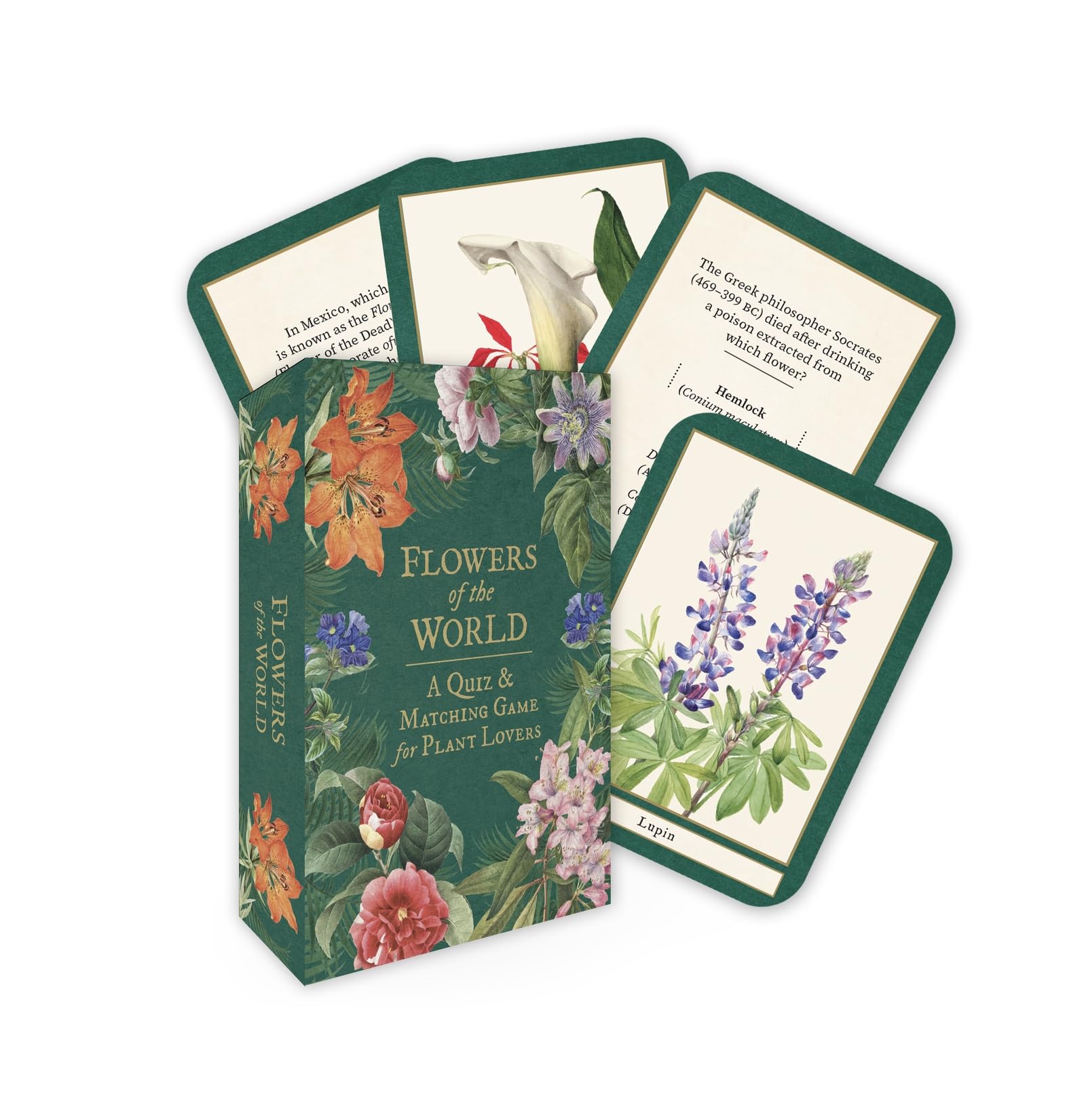 Flowers Of The World: A Matching And Trivia Game For Plant Lovers
