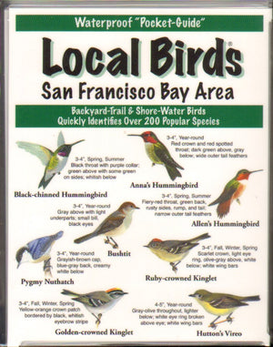 Local Birds of the San Francisco Bay Area,Used
