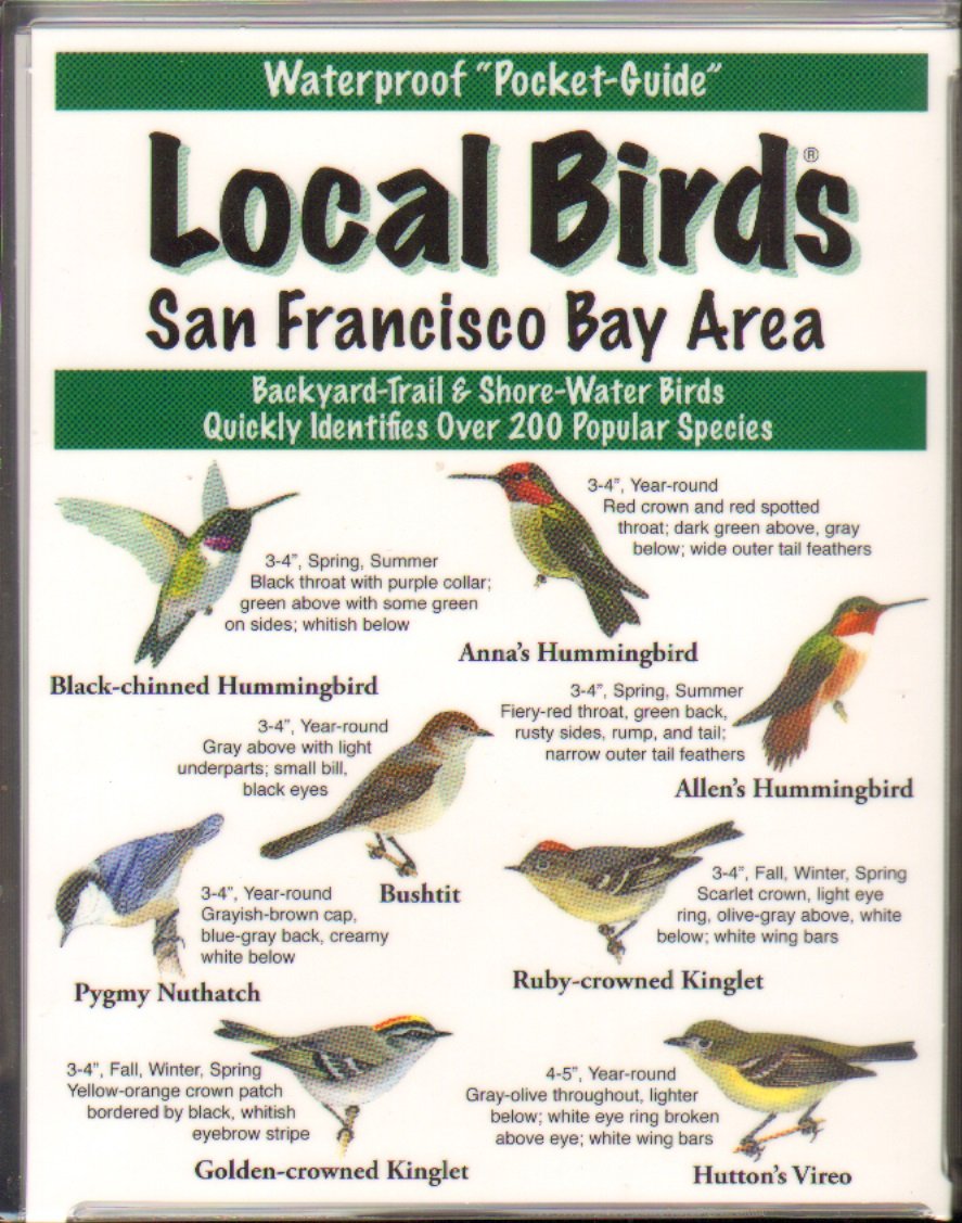 Local Birds of the San Francisco Bay Area,Used