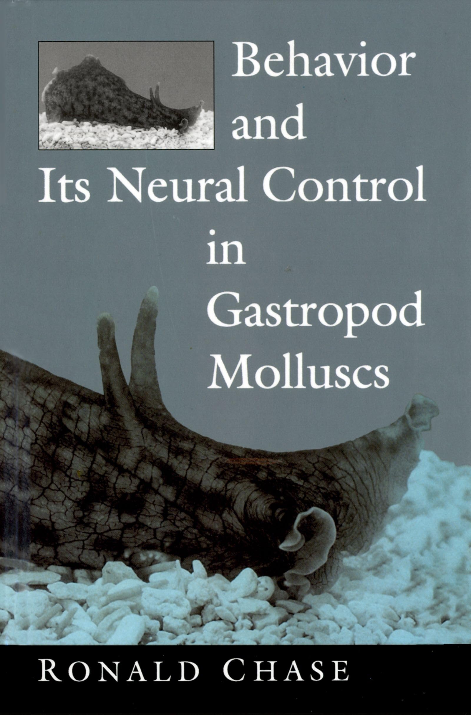 Behavior and Its Neural Control in Gastropod Molluscs,Used