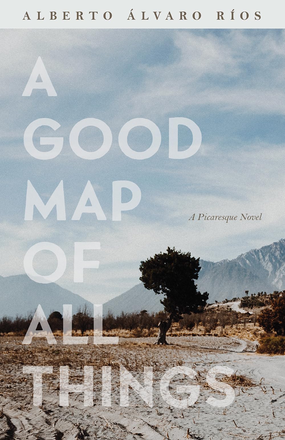 A Good Map Of All Things: A Picaresque Novel (Camino Del Sol),Used