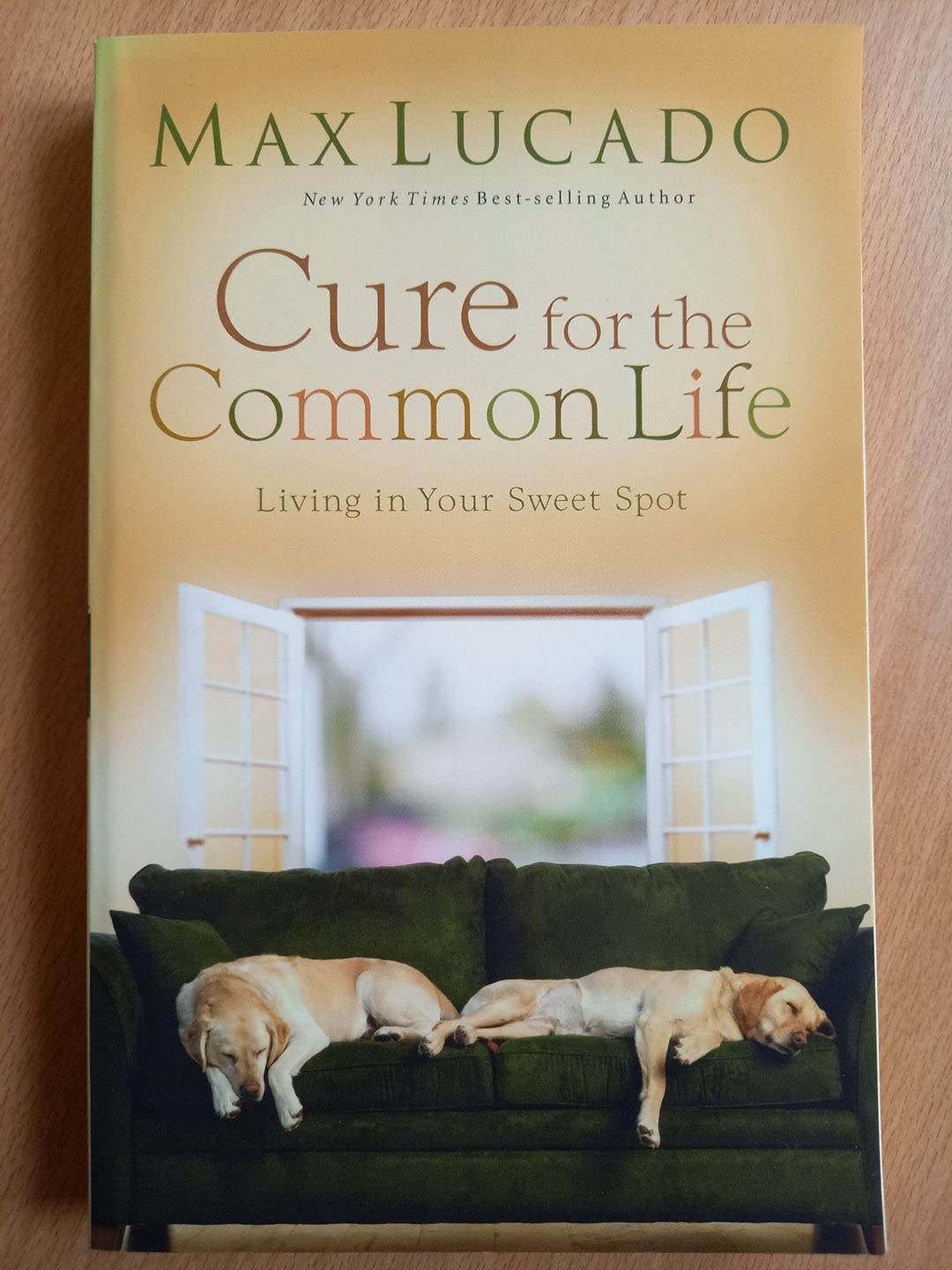 Cure for the Common Life,Used