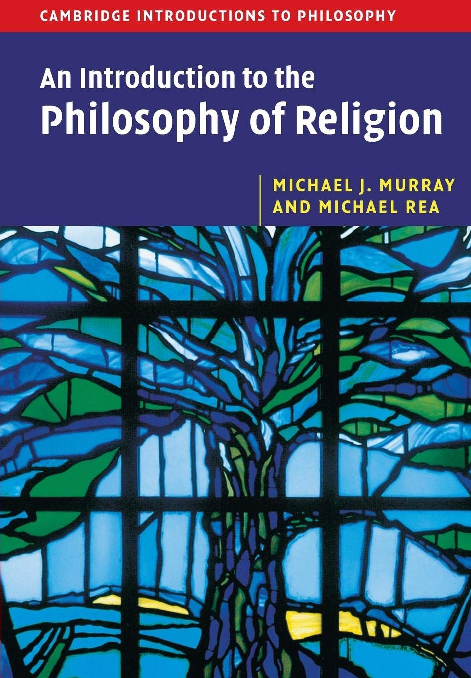 An Introduction to the Philosophy of Religion (Cambridge Introductions to Philosophy),Used