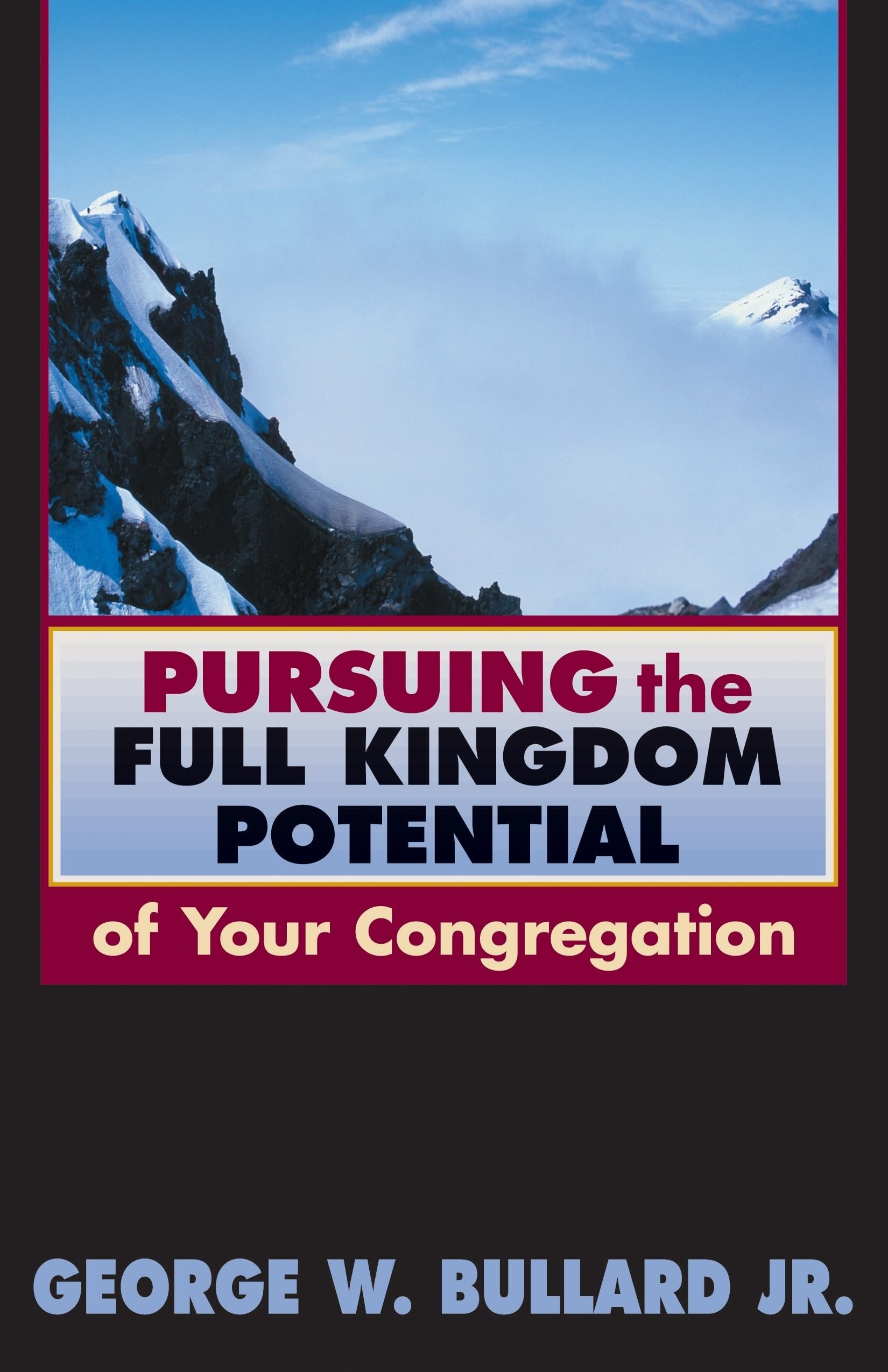 Pursuing the Full Kingdom Potential of Your Congregation (TCP Leadership Series) (TCP the Columbia Partnership Leadership),New