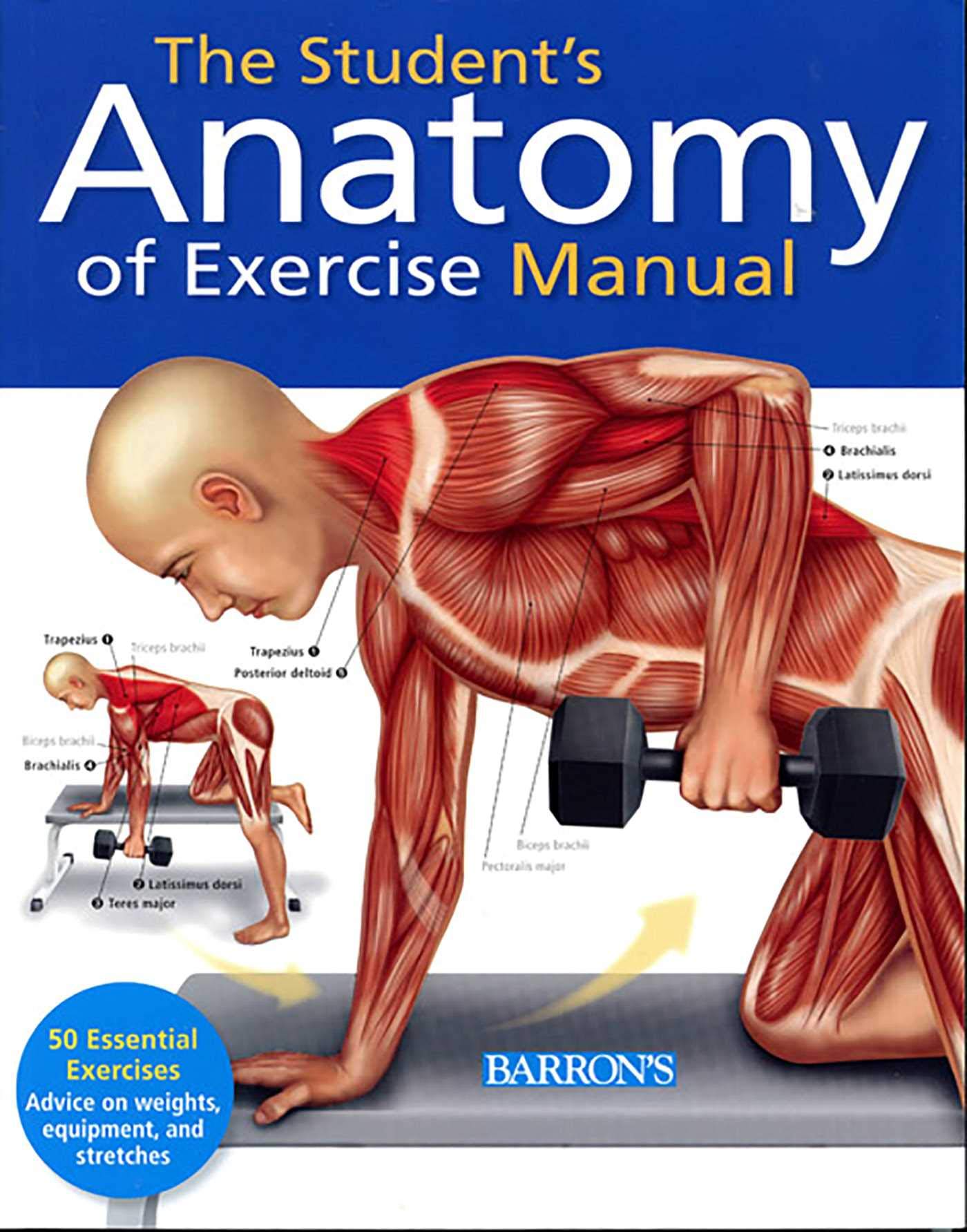 Student's Anatomy of Exercise Manual: 50 Essential Exercises Including Weights, Stretches, and Cardio,Used