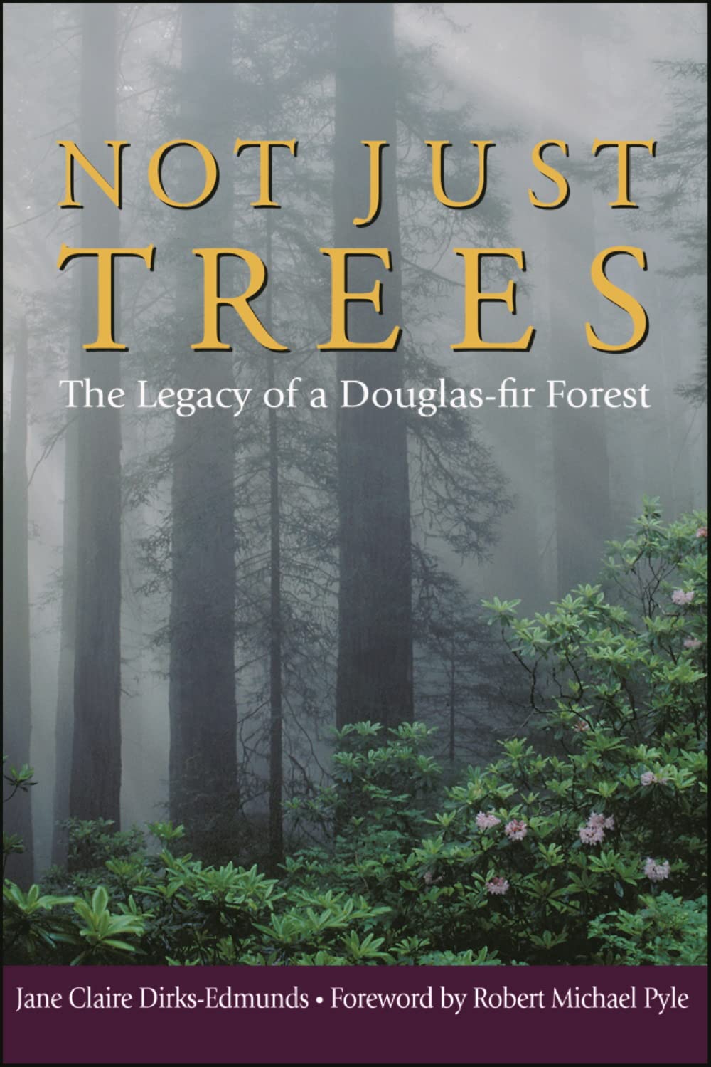 Not Just Trees: The Legacy Of A Douglasfir Forest