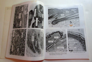 A Guide to Anatomy and Physiology,Used