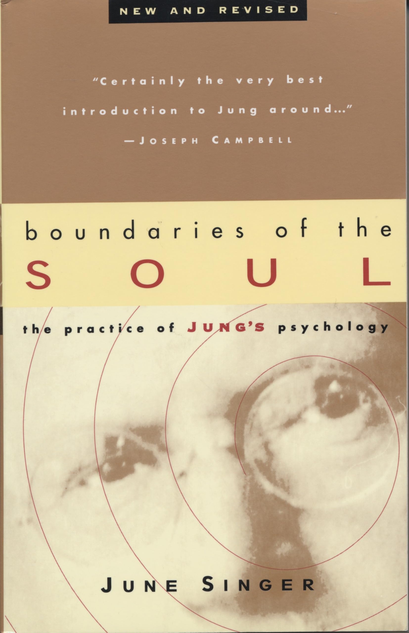 Boundaries of the Soul: The Practice of Jung's Psychology,New