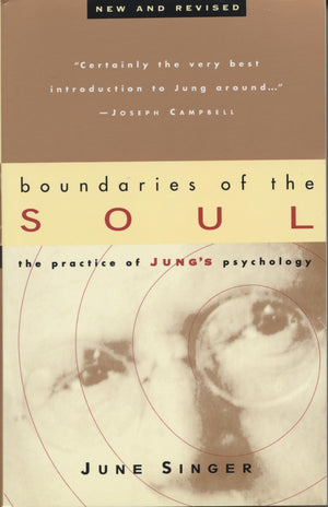 Boundaries of the Soul: The Practice of Jung's Psychology,Used
