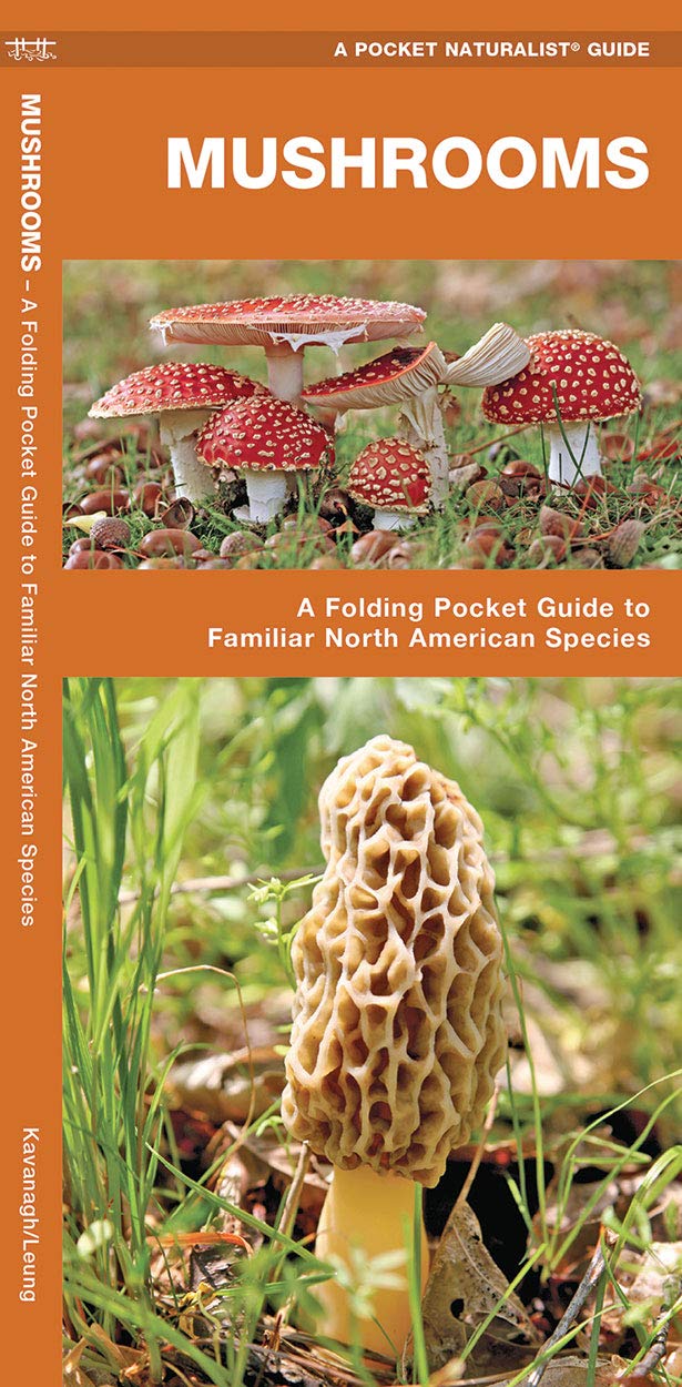 Mushrooms: A Folding Pocket Guide to Familiar North American Species (Nature Observation North America),Used