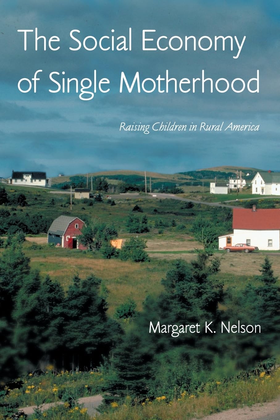 The Social Economy of Single Motherhood (Perspectives on Gender),New