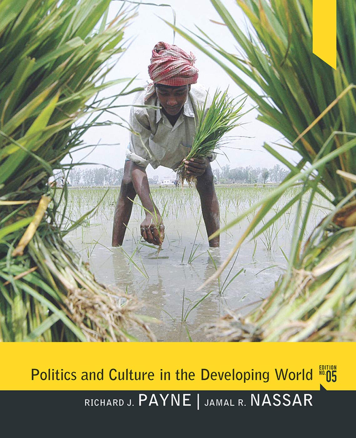 Politics and Culture in the Developing World: Instructor's Resource Manual,Used