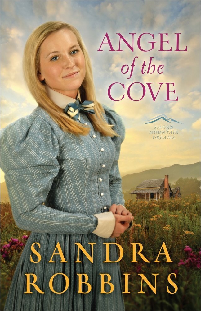 Angel of the Cove (Volume 1) (Smoky Mountain Dreams),Used