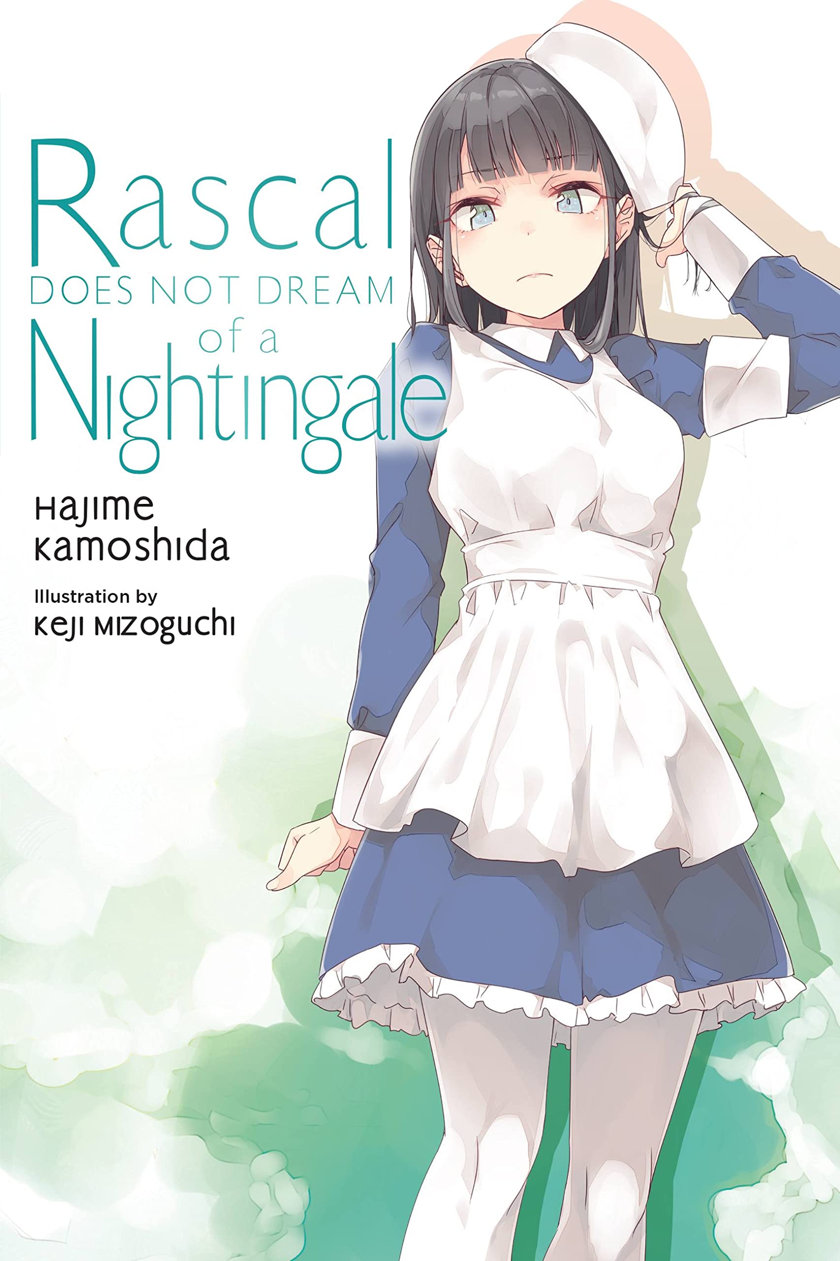Rascal Does Not Dream Of A Nightingale (Light Novel) (Volume 11) (Rascal Does Not Dream (Light Novel)),Used