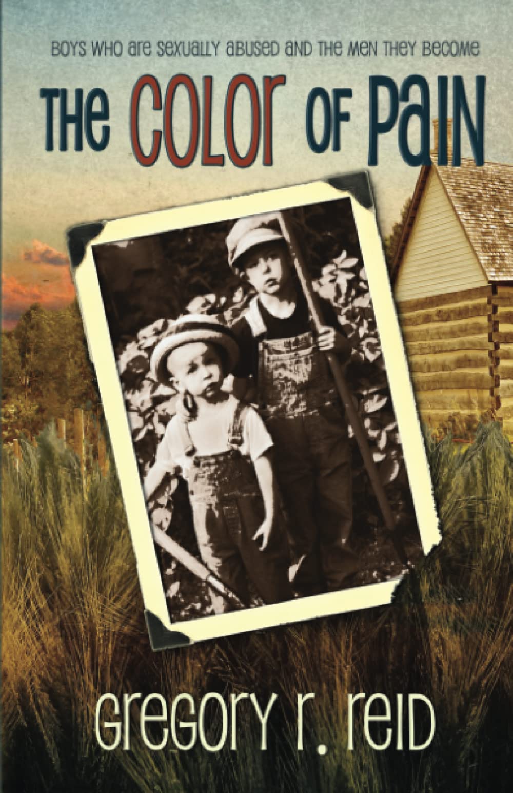 The Color of Pain: Boys who are sexually abused and the men they become,Used
