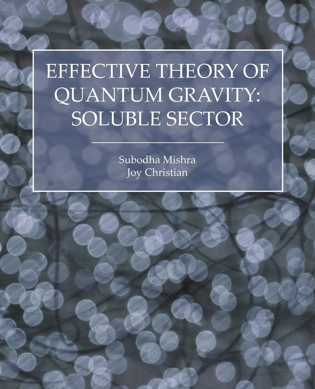 Effective Theory of Quantum Gravity: Soluble Sector,Used