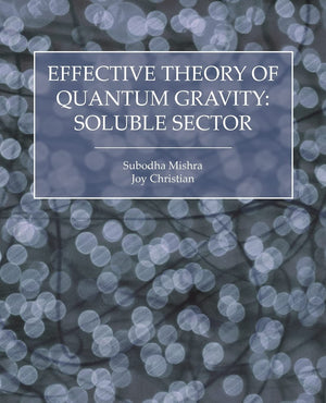 Effective Theory of Quantum Gravity: Soluble Sector,Used