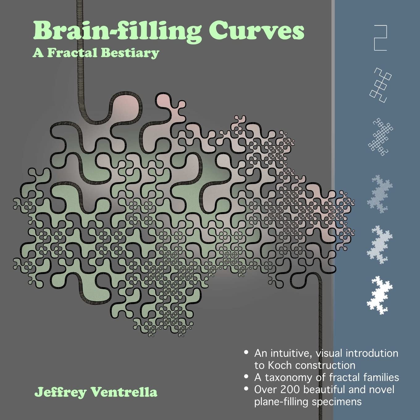 Brainfilling Curves  A Fractal Bestiary,Used