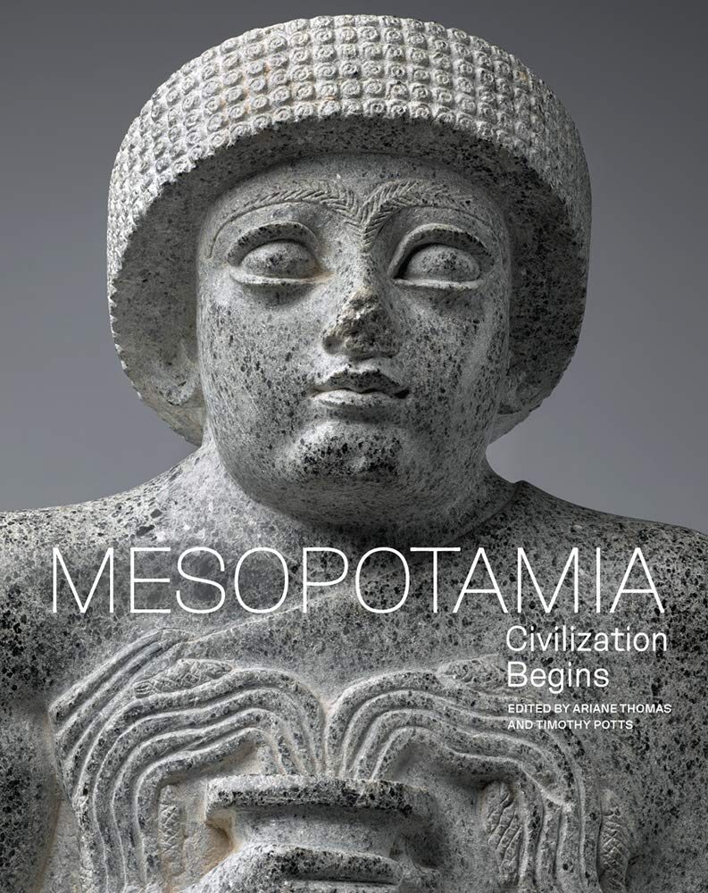 Mesopotamia: Civilization Begins,Used