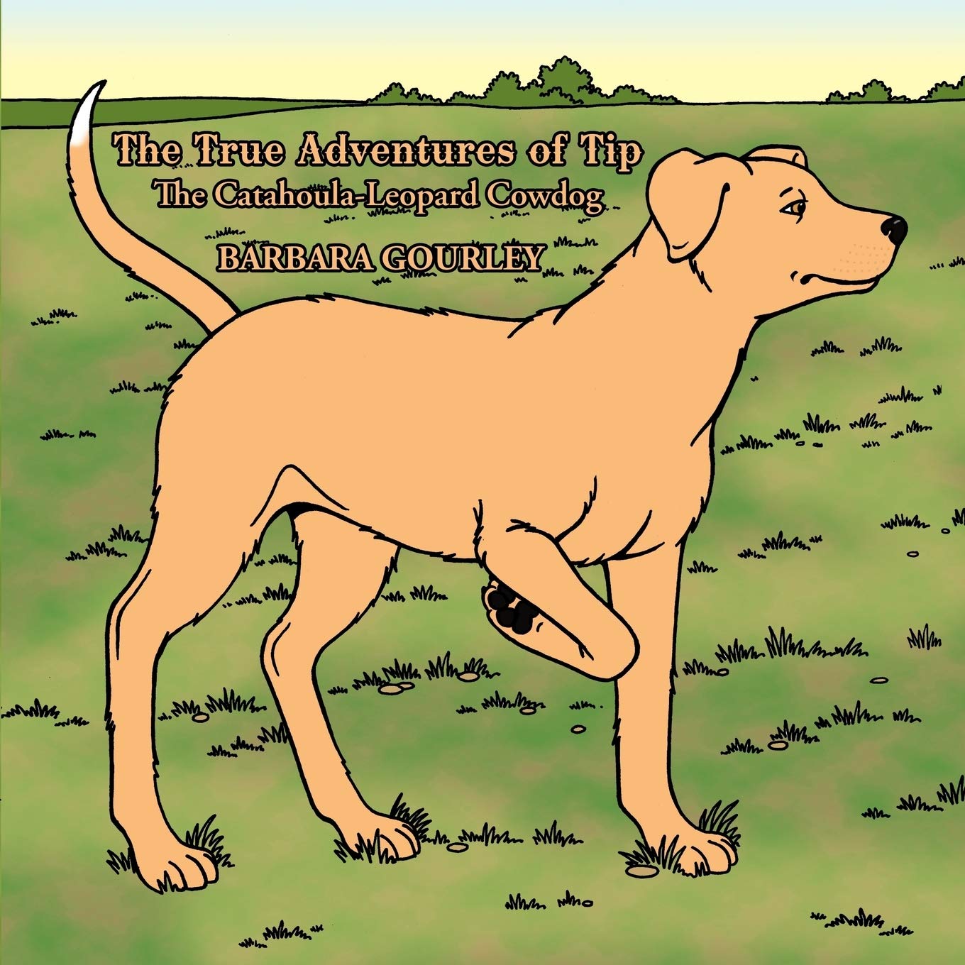 The True Adventures Of Tip The Catahoulaleopard Cowdog,Used