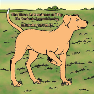 The True Adventures Of Tip The Catahoulaleopard Cowdog,Used